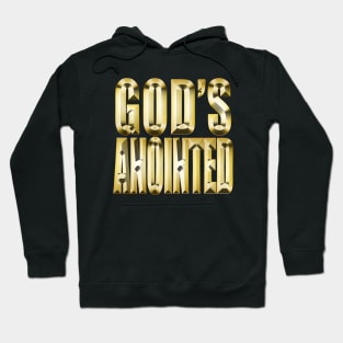 God's Anointed Christian T-Shirt Hoodie